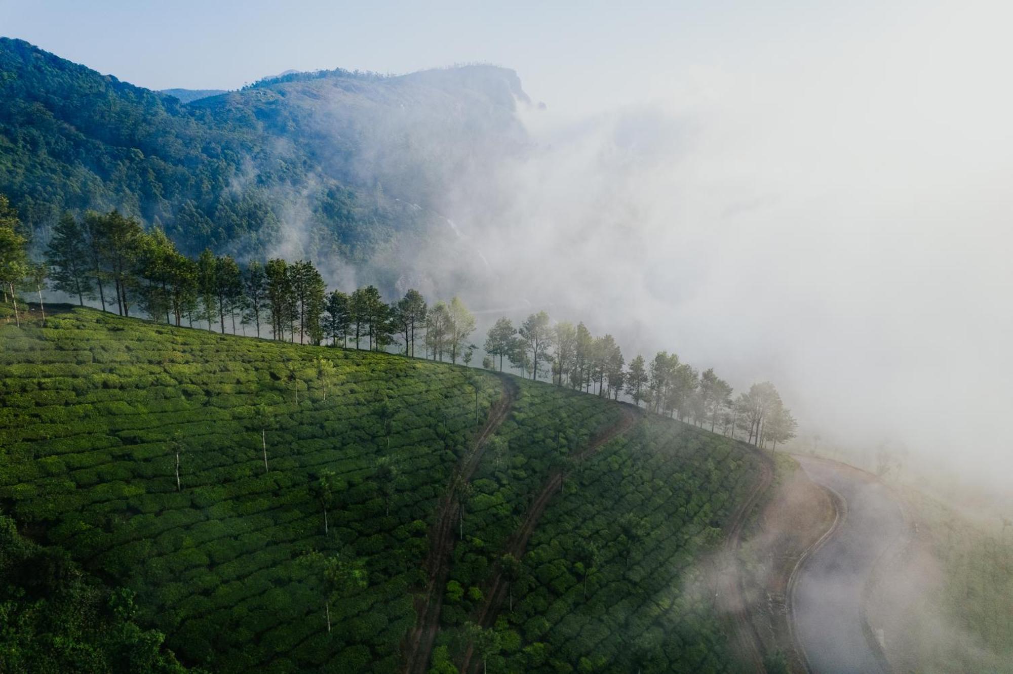 Misty Courtyard Resort Chinnakanal Экстерьер фото